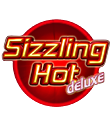 Slizzing Hot Slot